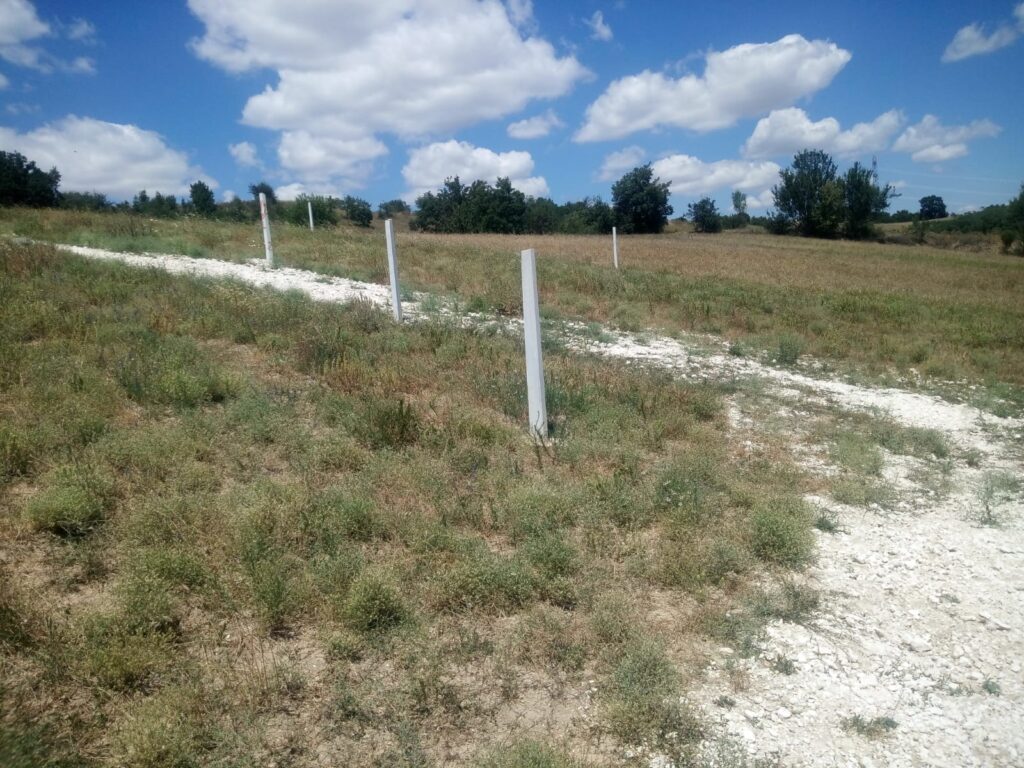 Bursa Nilüfer’de 1.996 m² arsanın 3/42 payı icradan satılıktır (çoklu satış)