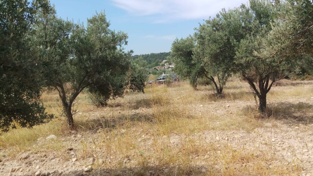 Bursa Gemlik’te 729 m² arsa mahkemeden satılıktır