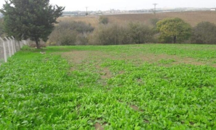 Bursa İnegöl’de 3.100 m² arsa mahkemeden satılıktır