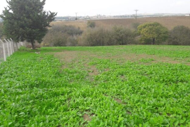 Bursa İnegöl’de 3.100 m² arsa mahkemeden satılıktır