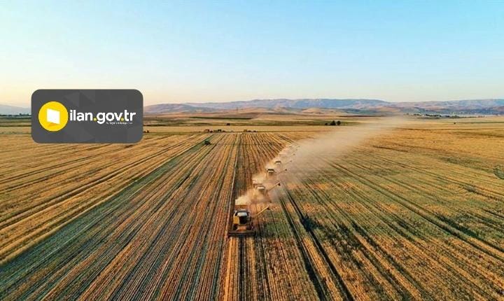 Mustafakemalpaşa’da tarla mahkemeden satılık