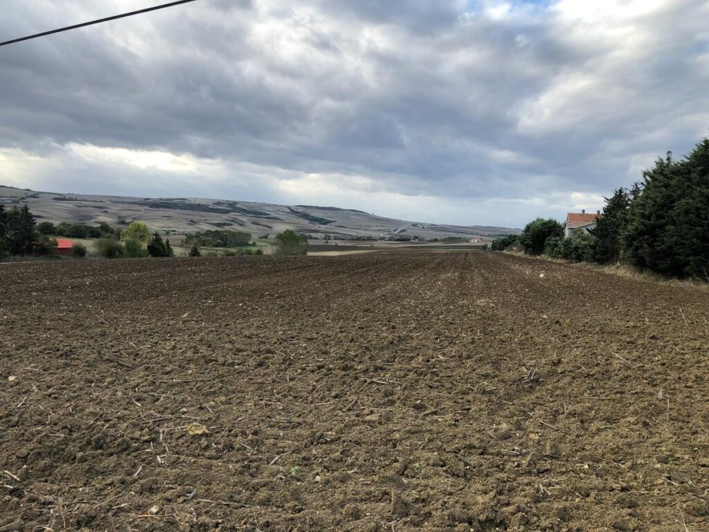 Bursa İnegöl’de 2.200 m² tarla mahkemeden satılıktır