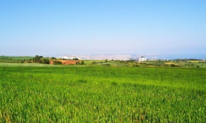 Bursa İznik’te 8.037 m² tarlanın 4/12 hissesi icradan satılıktır