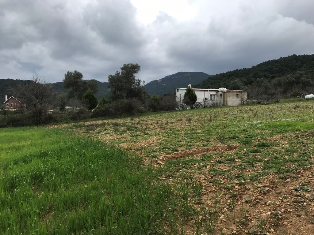 Bursa Orhangazi’de 1.405 m² tarla mahkemeden satılıktır