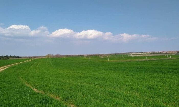 Bursa Gürsu 8.985 m² tarla icradan satılıktır