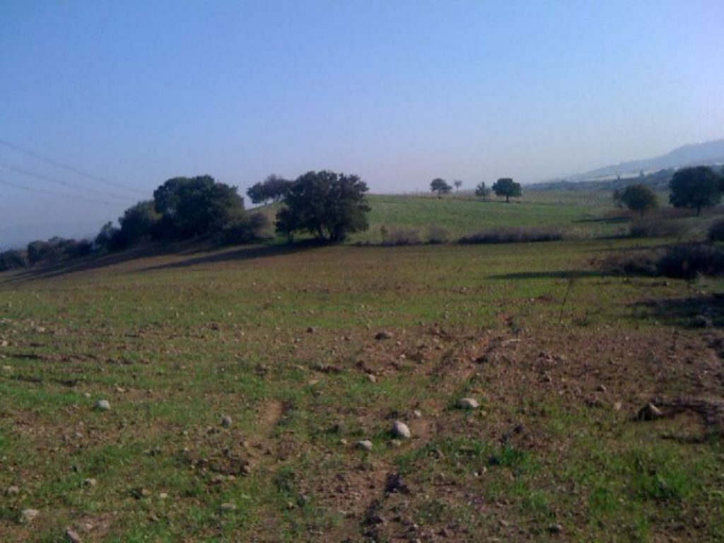 Bursa Mustafakemalpaşa’da 10.600 m² tarla mahkemeden satılıktır (çoklu satış)