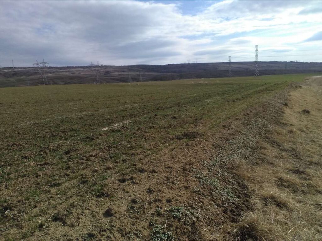 Bursa İnegöl’de 5.581 m² tarla icradan satılıktır