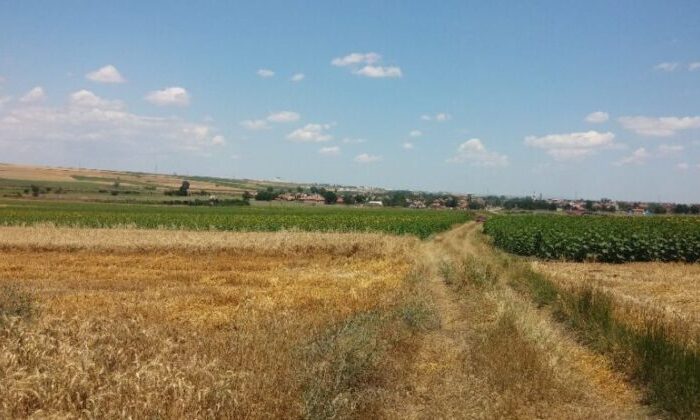 Bursa Mustafakemalpaşa’da 5.500 m² tarla mahkemeden satılıktır (çoklu satış)