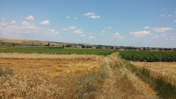 Bursa Mustafakemalpaşa’da 5.500 m² tarla mahkemeden satılıktır (çoklu satış)