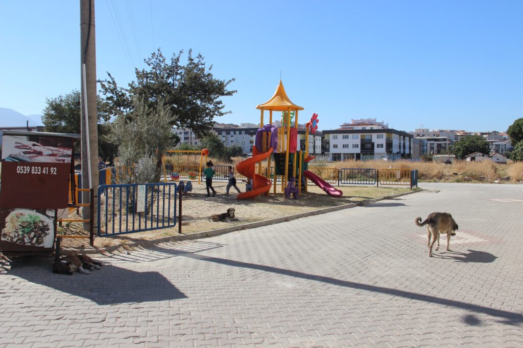 İki kardeş 3 gün arayla dehşeti yaşadı