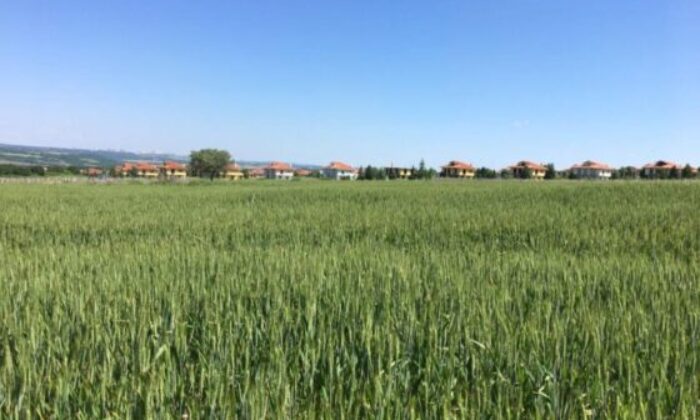 Bursa Yıldırım’da 77 m² arsa mahkemeden satılıktır