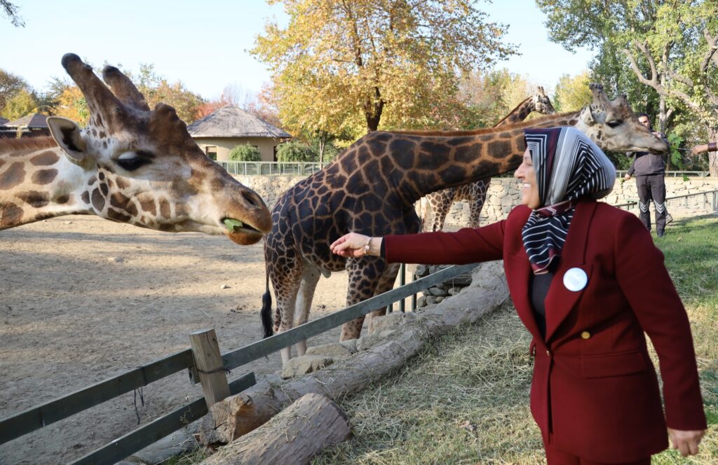 Bursa Hayvanat Bahçesi 24 yaşında