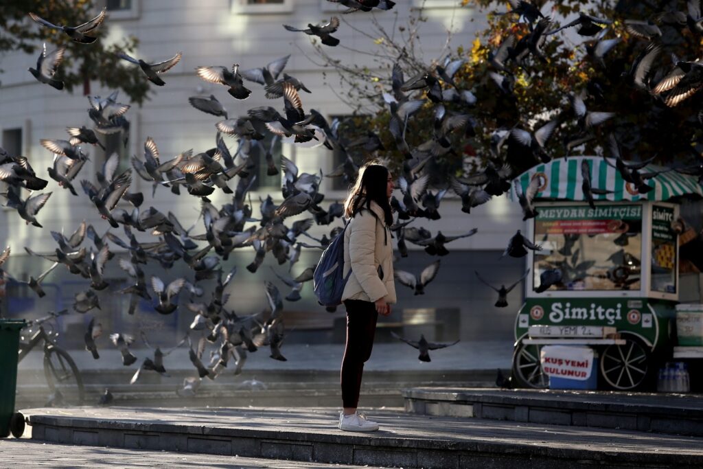 Zeytin toplayan köylü kadınlar tarlada böyle saygı duruşuna durdu