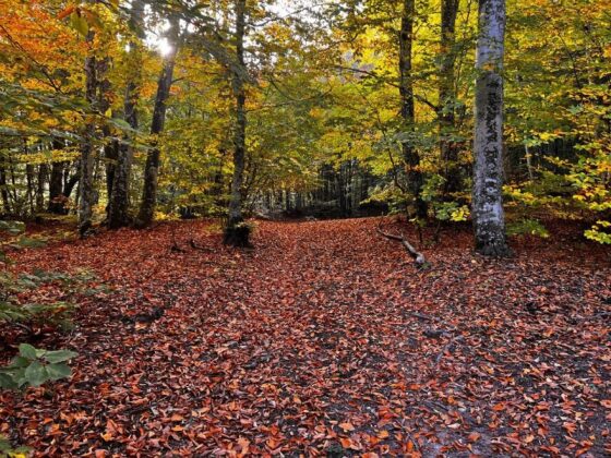 Kırık fay hattının ortaya çıkardığı şaheserde hazan güzelliği