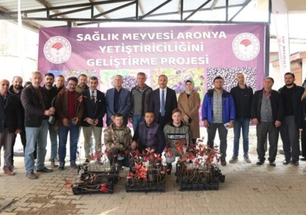 İznik’in bereketi, sağlık meyvesi aronya ile buluşuyor