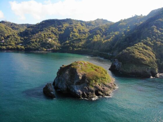 Ordu’nun kuş cenneti: Hoynat Adası