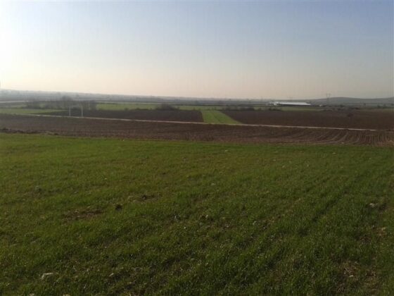 Bursa Osmangazi’de 1.109 m² tarla mahkemeden satılıktır