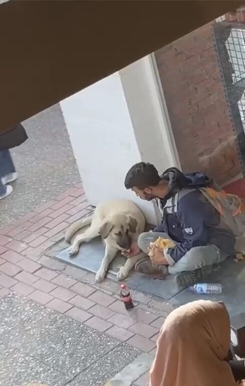 Yemeğini sokak köpeği ile paylaştı, sosyal medyada viral oldu