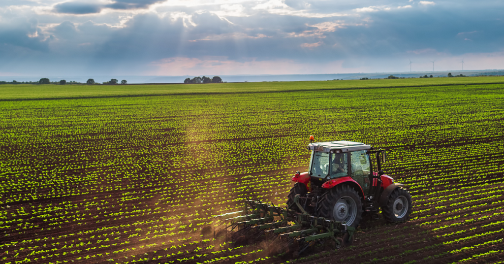 Bursa Orhangazi’de 7.650,65 m² tarım alanı icradan satılıktır (çoklu satış)