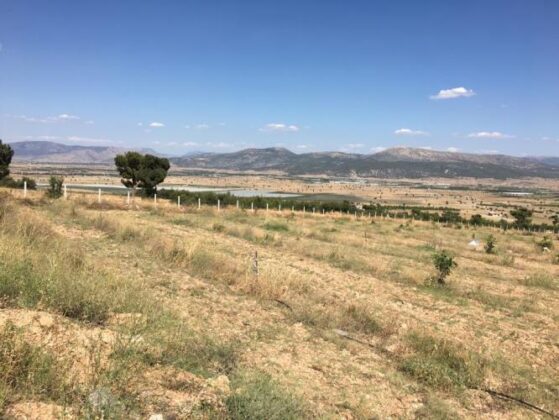 Bursa İznik’te 1.300 m² tarla icradan satılıktır