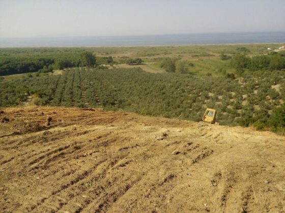 Bursa Mudanya’da 1.671 m² tarla icradan satılıktır