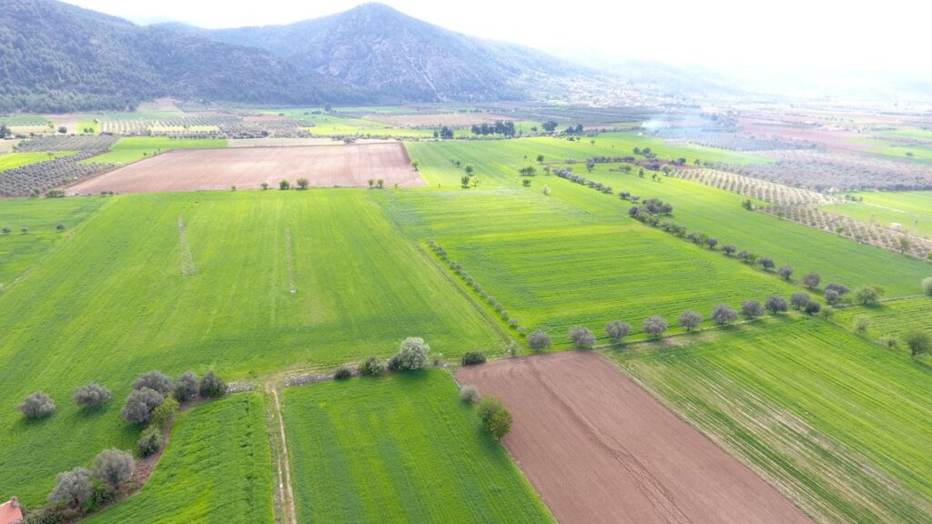 Bursa Osmangazi’de 2.476 m² tarla mahkemeden satılıktır