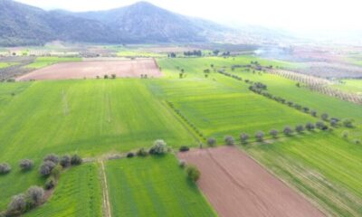 Bursa Osmangazi’de 2.476 m² tarla mahkemeden satılıktır
