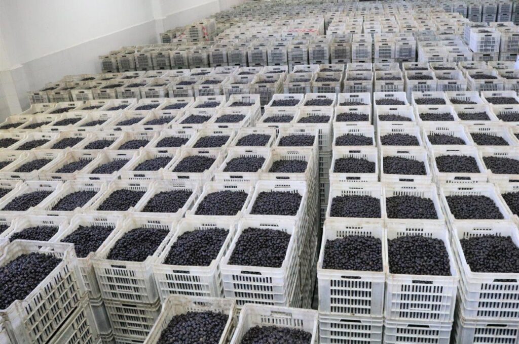 Marmarabirlik’ten 150 milyon lira ödeme