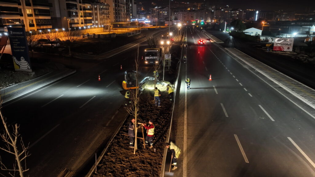 Çalı yolunda ‘yeşil’ seferberliği