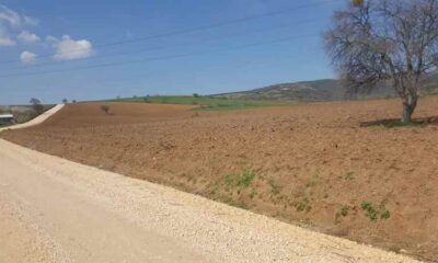 Bursa Karacabey’de 12.000 m² tarla icradan satılıktır