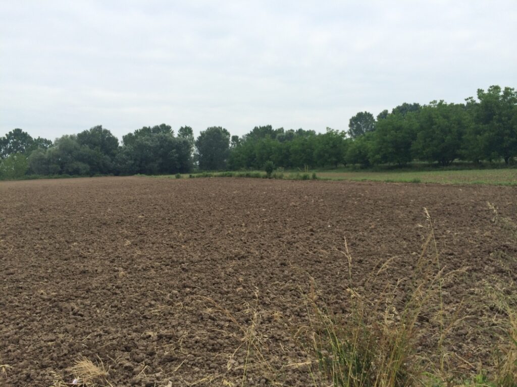 Bursa Karacabey’de 5816 m² tarla mahkemeden satılıktır