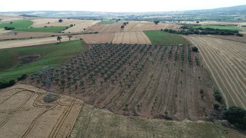 Bursa Karacabey’de 588 m² tarla icradan satılıktır