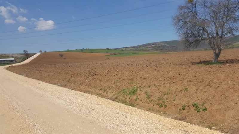 Bursa Karacabey’de 12.000 m² tarla icradan satılıktır