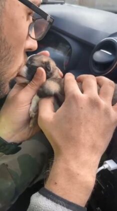 Yeni doğan yavru köpeği kalp masajı yaparak hayata döndürdü