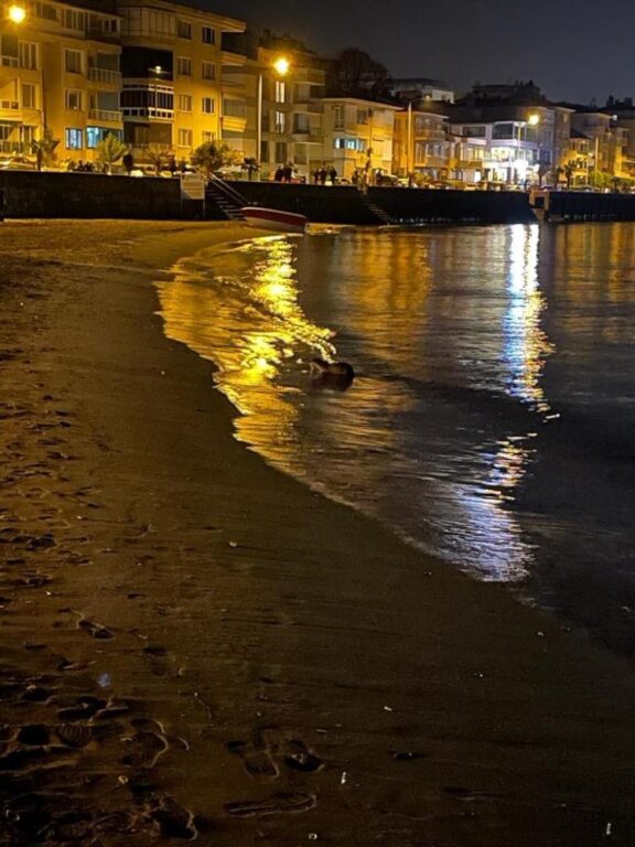 Su samurunu görenler hayrete düştü