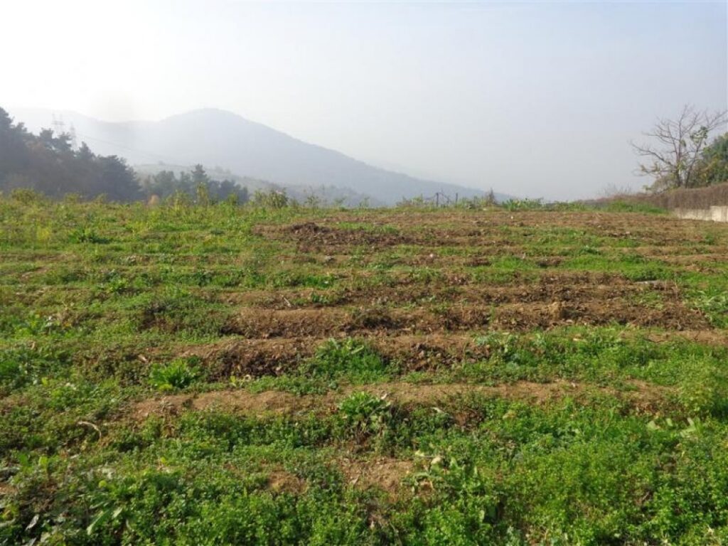 Bursa Mustafakemalpaşa’da 480,00 m² arsa icradan satılıktır (çoklu satış)