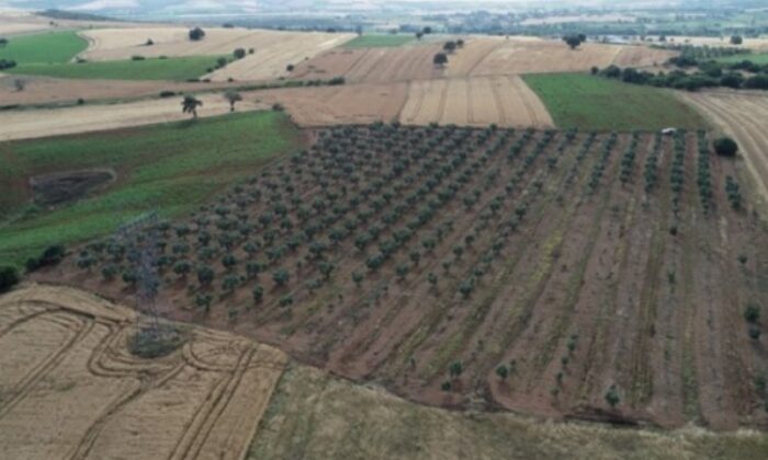 Osmangazi’de mahkemeden satılık tarla