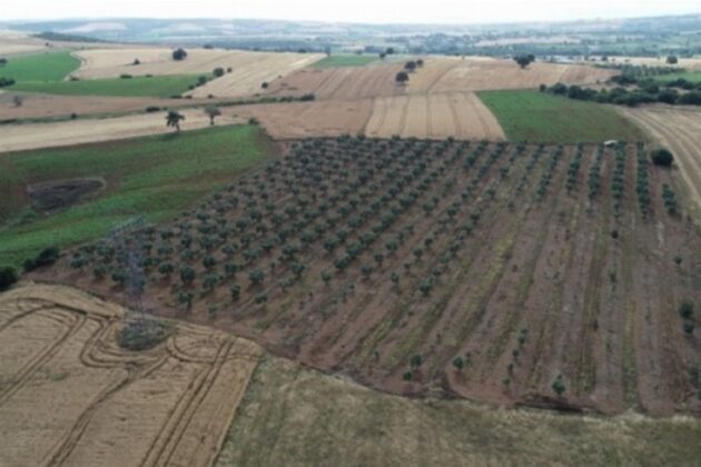 Osmangazi’de mahkemeden satılık tarla
