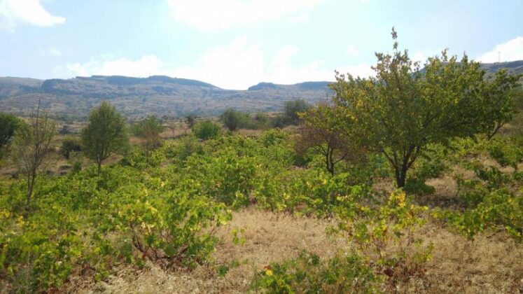 Bursa Kestel’de 5.439 m² arsa mahkemeden satılıktır