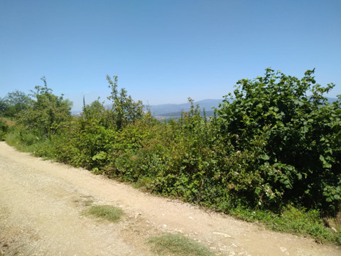 Bursa Kestel’de 6.716 m² arsa mahkemeden satılıktır