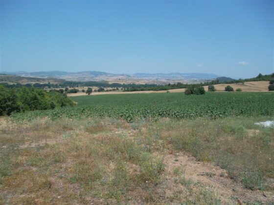 Bursa Kestel’de 9.325 m² tarla mahkemeden satılıktır