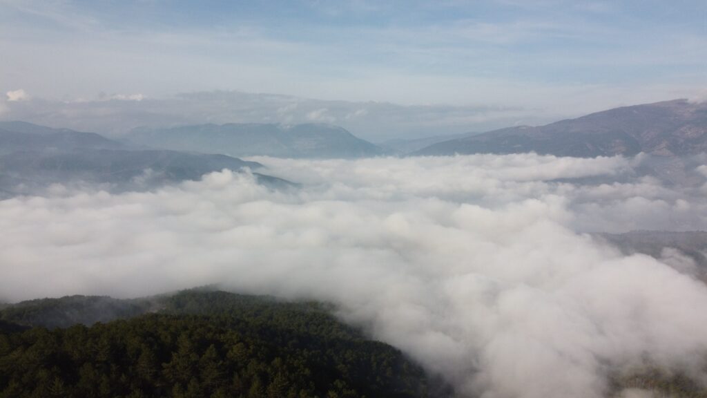 Bu manzara görülmeye değer