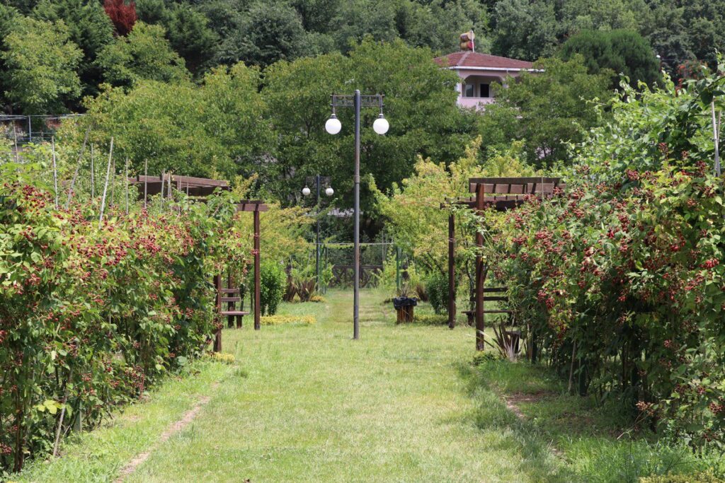 Bursa İnegöl’de 1.829 m² meyve bahçesi icradan satılıktır