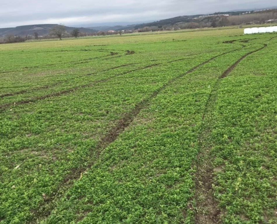 Bursa Mustafakemalpaşa’da 12.000 m² tarla icradan satılıktır
