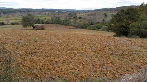 Bursa Nilüfer’de 2.000 m² tarla mahkemeden satılıktır