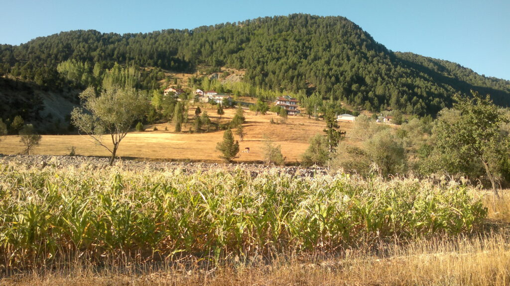 Bursa Osmangazi’de 2.637 m² arsa mahkemeden satılıktır