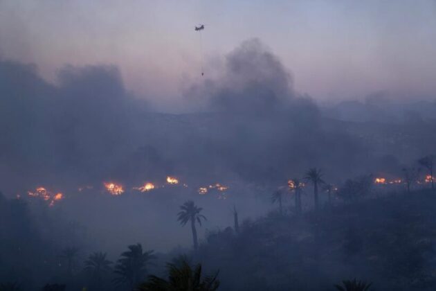 Şili’deki orman yangınları yayılıyor: 2 ölü