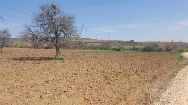 Bursa Yenişehir’de 16.805 m² tarla mahkemeden satılıktır (çoklu satış)