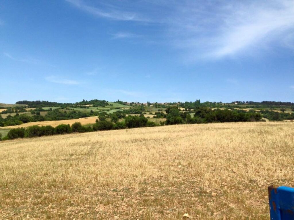 Bursa Yenişehir’de 11.200 m² tarla mahkemeden satılıktır (çoklu satış)