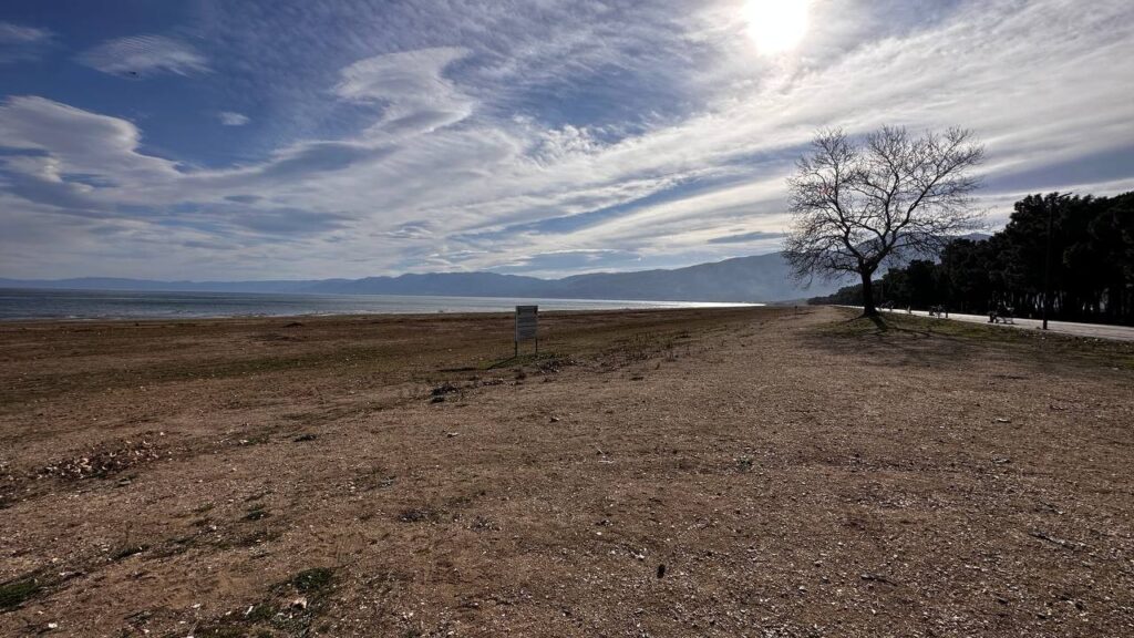 Kuraklığın en acı görüntüsü